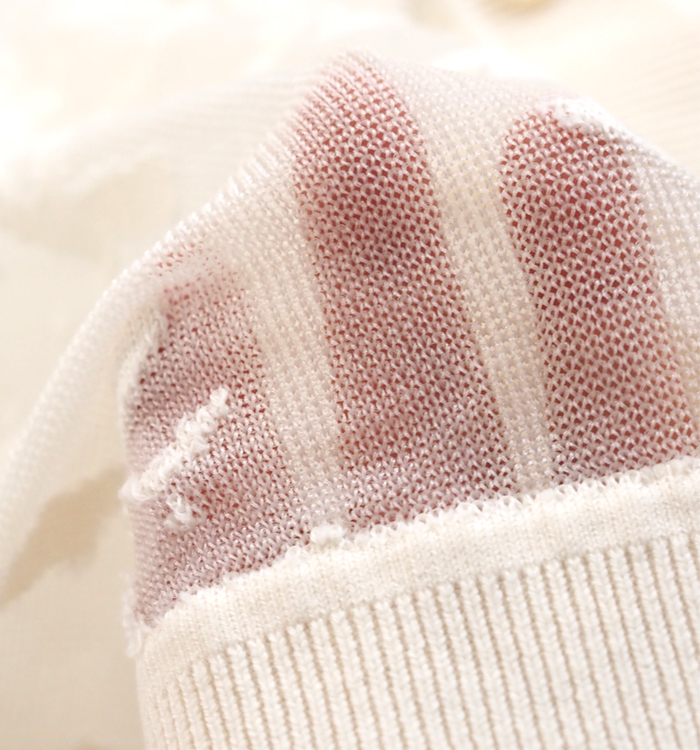 mizuiro ind ミズイロインド メッシュ刺繍 クルーネックカーディガン