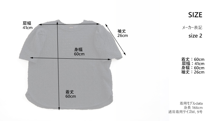 Squady スカディ レースTシャツ ラウンドネックプルオーバー レディース