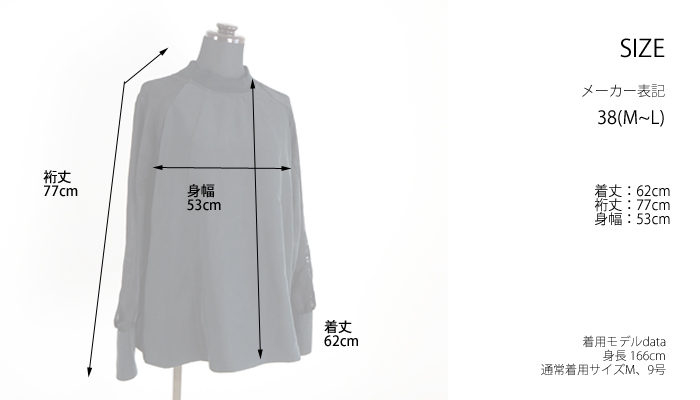 isato design works イサトデザインワークス プルオーバーブラウス オパール加工 ボトルネック レディース