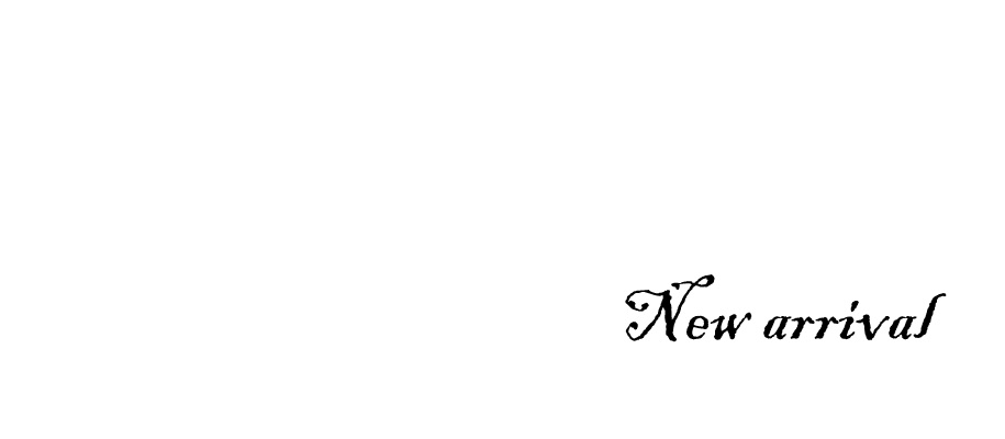 新作 ニューコレクション