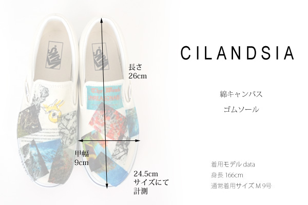 CILANDSIA(チランドシア) VANSコラボスリッポン slipon レディース メンズ