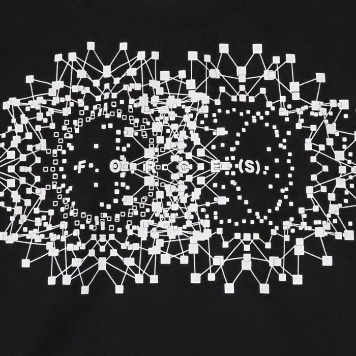 FERAL FLAIR VISIONAIRE フィラルフレア ヴィジョネア ラウンドネック プリントカットソー レディース